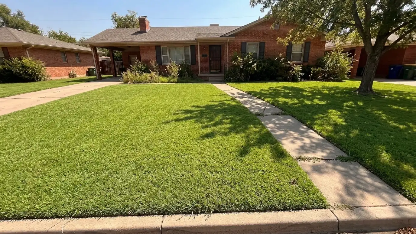After: Thin, patchy lawn made thick and green | Music City Landscaper After: a front lawn with a lush, thick and evenly green lawn