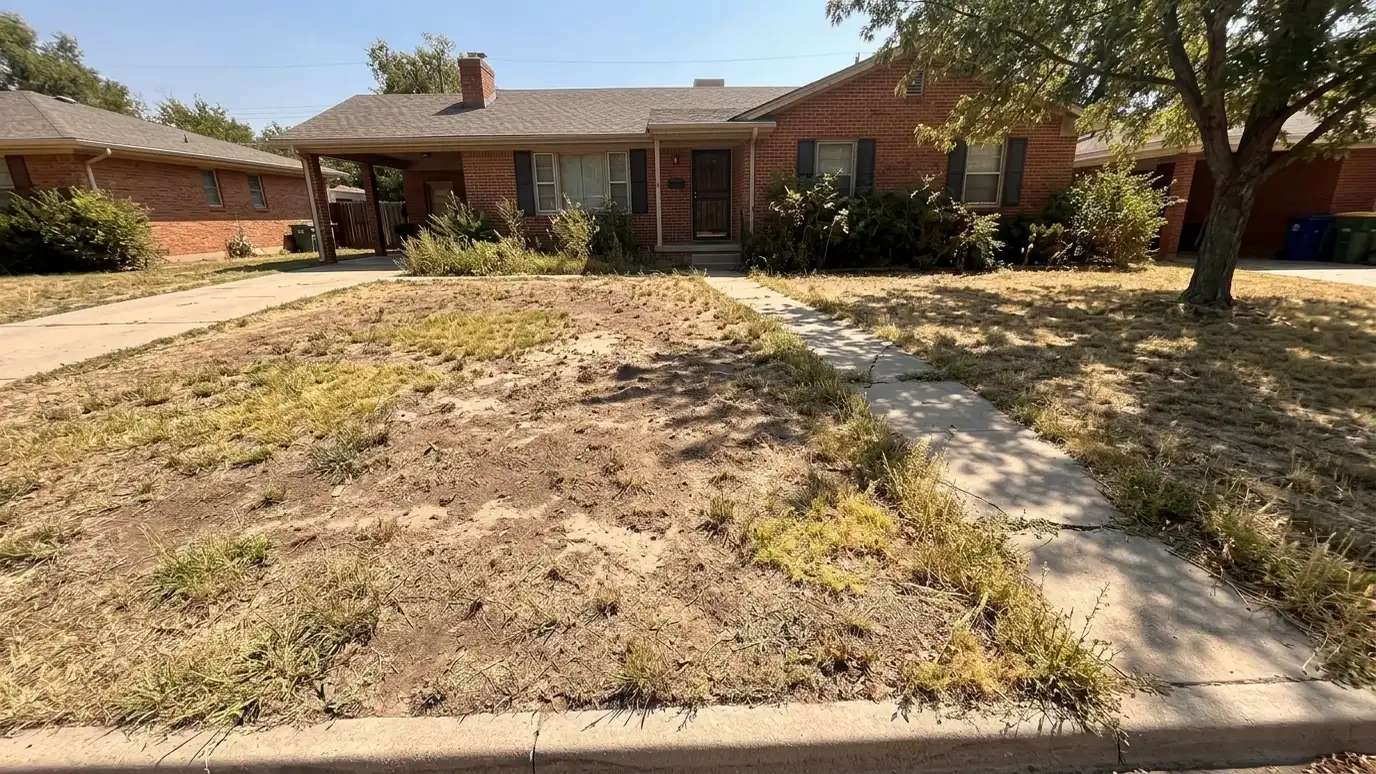 Before: a front lawn with a thin, brown and patchy lawn with bare spots