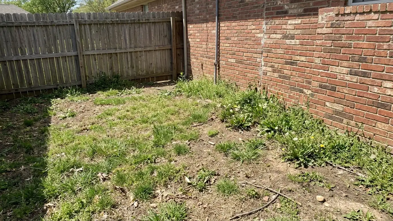 Before: a backyard corner with a bare grassy corner with a few weeds