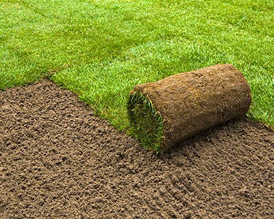 Nashville Sod Contractors