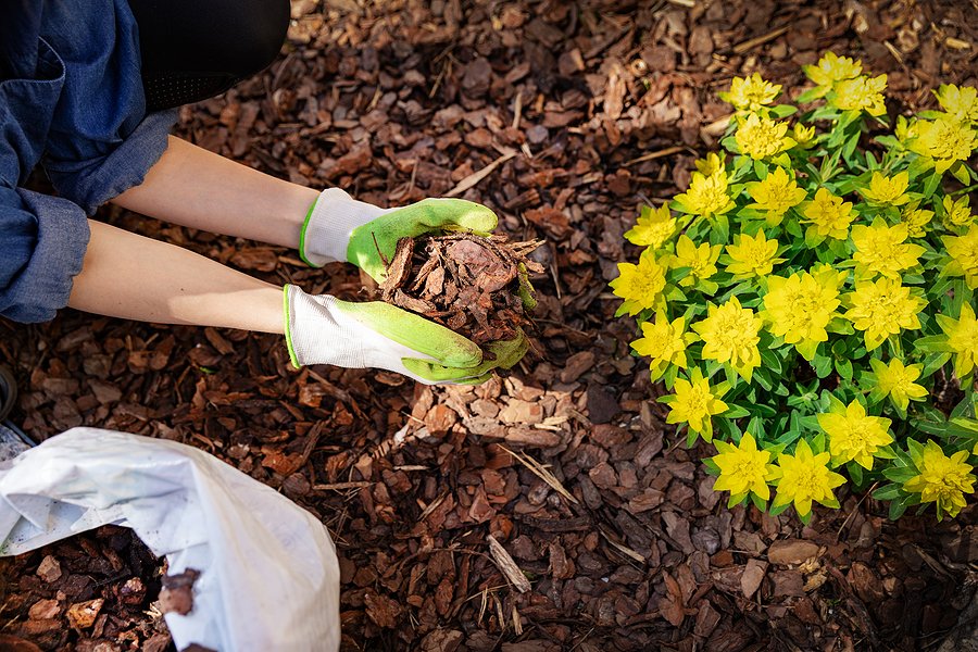 Nashville Mulching & Flowerbeds