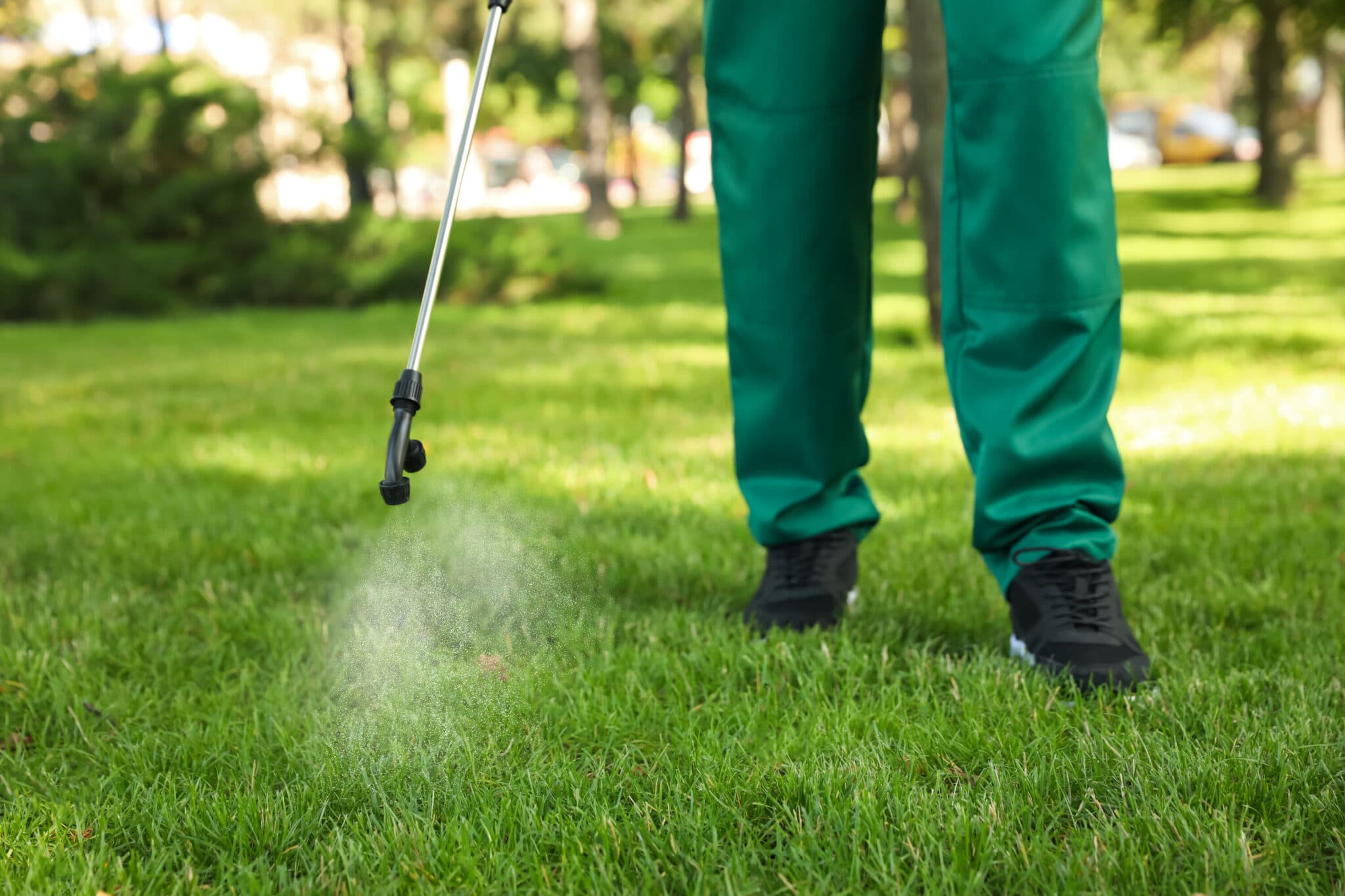 Lawn Weed Control Nashville